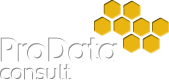 ProData Consult, Expert IT Consultants