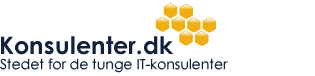 Konsulenter.dk - stedet for de tunge IT-konsulenter